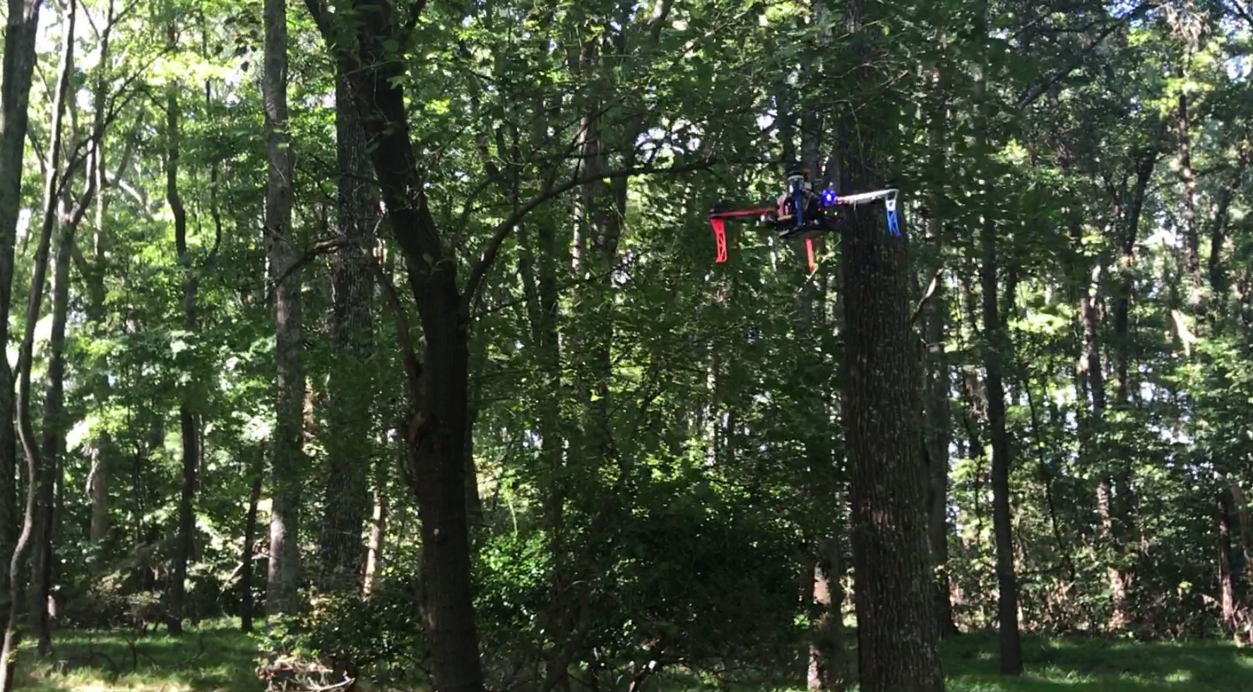 Search and Rescue under the Forest Canopy using Multiple UAS